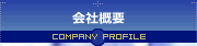 ЊTv