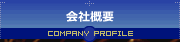 ЊTv
