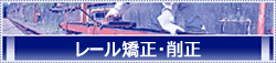 ���[�������E�퐳